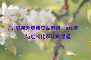 2025服裝外貿(mào)獨立站趨勢，DTC模式與定制化設(shè)計的崛起