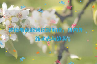 跨境電商政策法規(guī)解讀，國內(nèi)外最新動態(tài)與趨勢