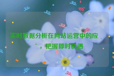 實時數(shù)據(jù)分析在網(wǎng)站運營中的應用，把握即時機遇