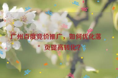 廣州百度競價推廣，如何優(yōu)化落地頁提高轉(zhuǎn)化？