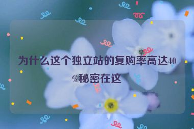 為什么這個(gè)獨(dú)立站的復(fù)購(gòu)率高達(dá)40%秘密在這
