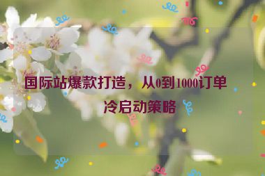 國際站爆款打造，從0到1000訂單的冷啟動策略