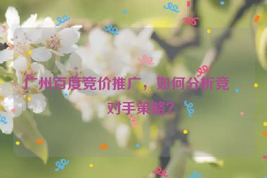 廣州百度競(jìng)價(jià)推廣，如何分析競(jìng)爭(zhēng)對(duì)手策略？