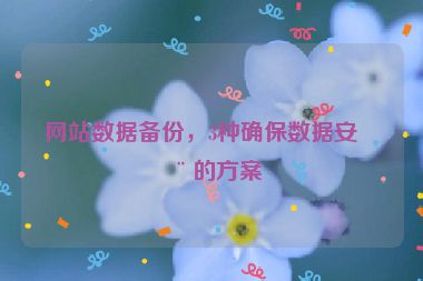 網(wǎng)站數(shù)據(jù)備份，3種確保數(shù)據(jù)安全的方案