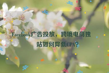 Facebook廣告投放，跨境電商獨(dú)立站如何降低CPA？