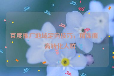 百度推廣地域定向技巧，精準(zhǔn)覆蓋高轉(zhuǎn)化人群