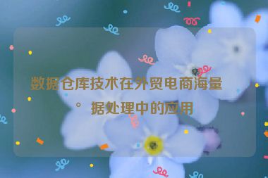 數(shù)據(jù)倉庫技術在外貿(mào)電商海量數(shù)據(jù)處理中的應用