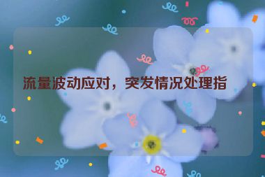 流量波動應(yīng)對，突發(fā)情況處理指南