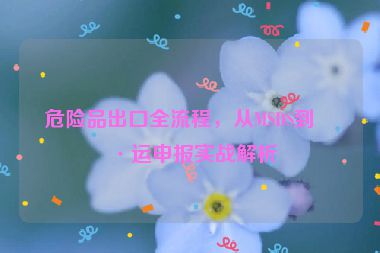 危險品出口全流程，從MSDS到海運申報實戰(zhàn)解析